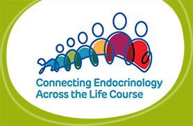 top-left-logo-1
