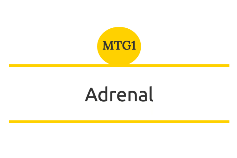 MTG1